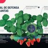Bioestimulantes_inductor-de-defensas_quitosano